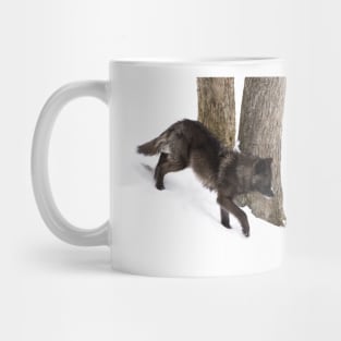 Black Wolf in winter Mug